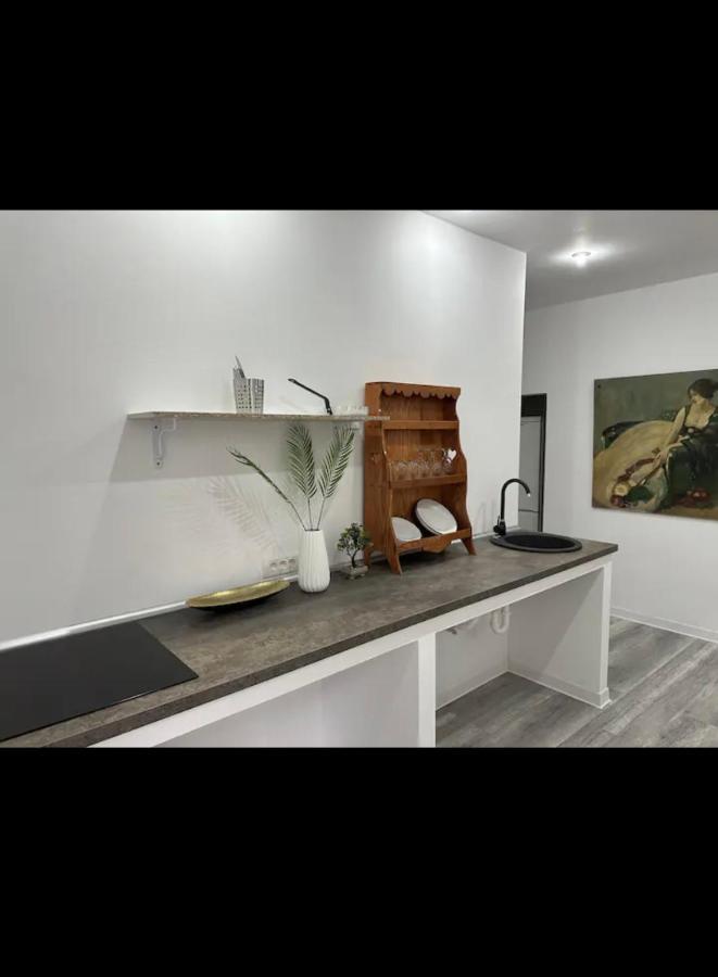 Piata Libertatii Apartament 1 Room Temeşvar Dış mekan fotoğraf