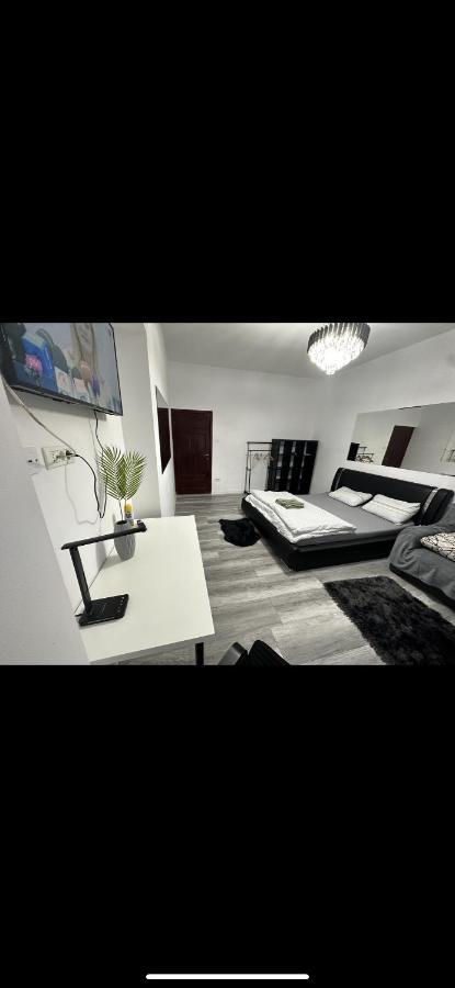 Piata Libertatii Apartament 1 Room Temeşvar Dış mekan fotoğraf