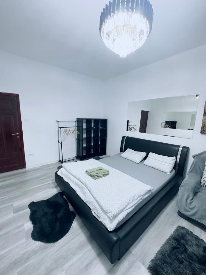 Piata Libertatii Apartament 1 Room Temeşvar Dış mekan fotoğraf